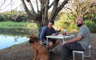 Mesa Picnic Set Mosaic Coleman