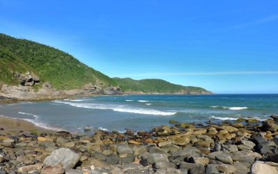 10 lindas praias para visitar em Búzios (RJ)