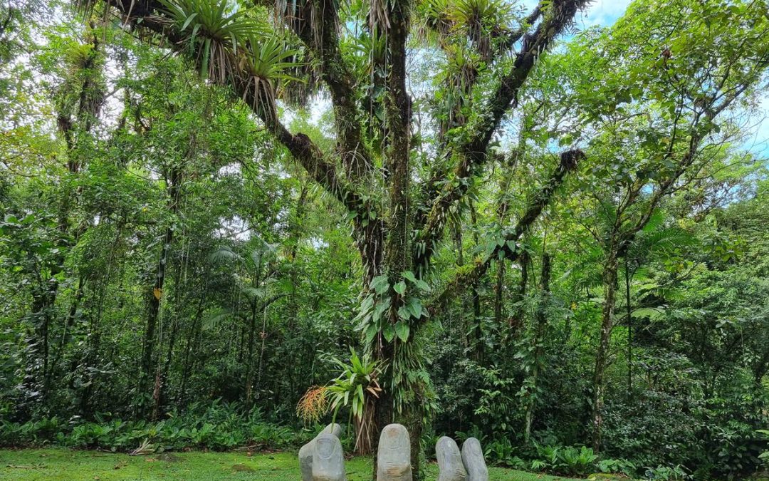 Acampando em Morretes PR