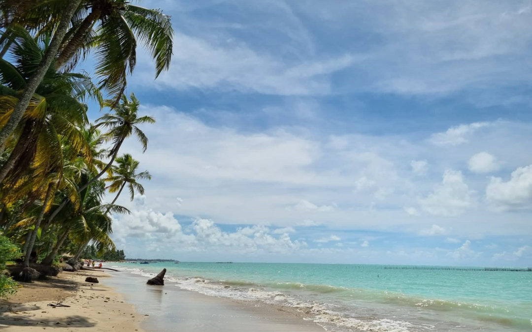 Acampando em Maragogi